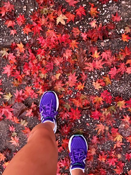 Fall Miles, More Smiles